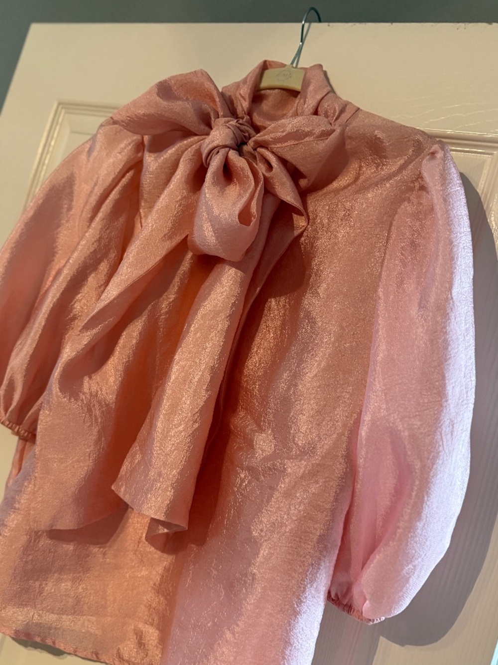 Sheer Pink "All the Fuss & Extra) Top (Lg)